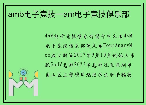 amb电子竞技—am电子竞技俱乐部